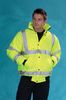Show more information about Dickies Hi-Visibility Bomber